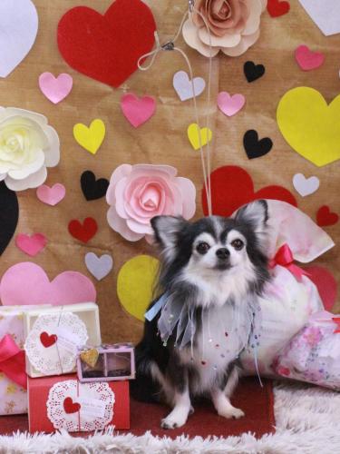 20230228ジンくん